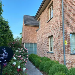 Aline Florentine - Adults Only - Luxury - D'hotes - Frei Bed & Breakfast Kortenberg